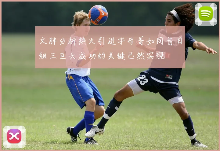 文胖分析热火引进字母哥如同昔日组三巨头成功的关键已然实现