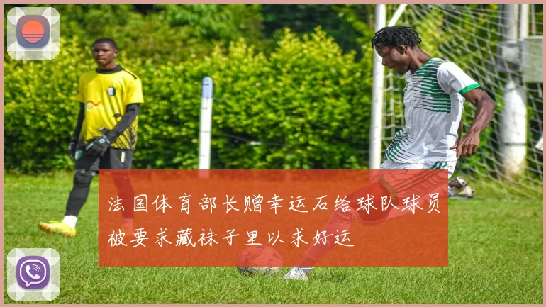 法国体育部长赠幸运石给球队球员被要求藏袜子里以求好运