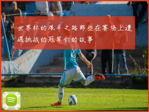 世界杯的艰辛之路那些在赛场上遭遇挑战的冠军们的故事