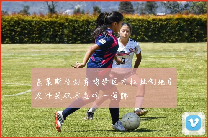 基莱斯与刘弈鸣禁区内拉扯倒地引发冲突双方各吃一黄牌